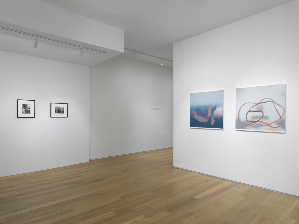 Installation view of Purpose (July 9-August 21, 2025) at Alexander Berggruen, NY.