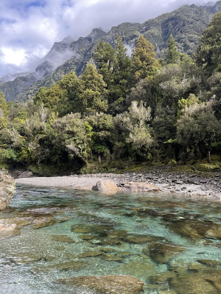 iPhone image by Sholto Blissett, New Zealand, 2025.