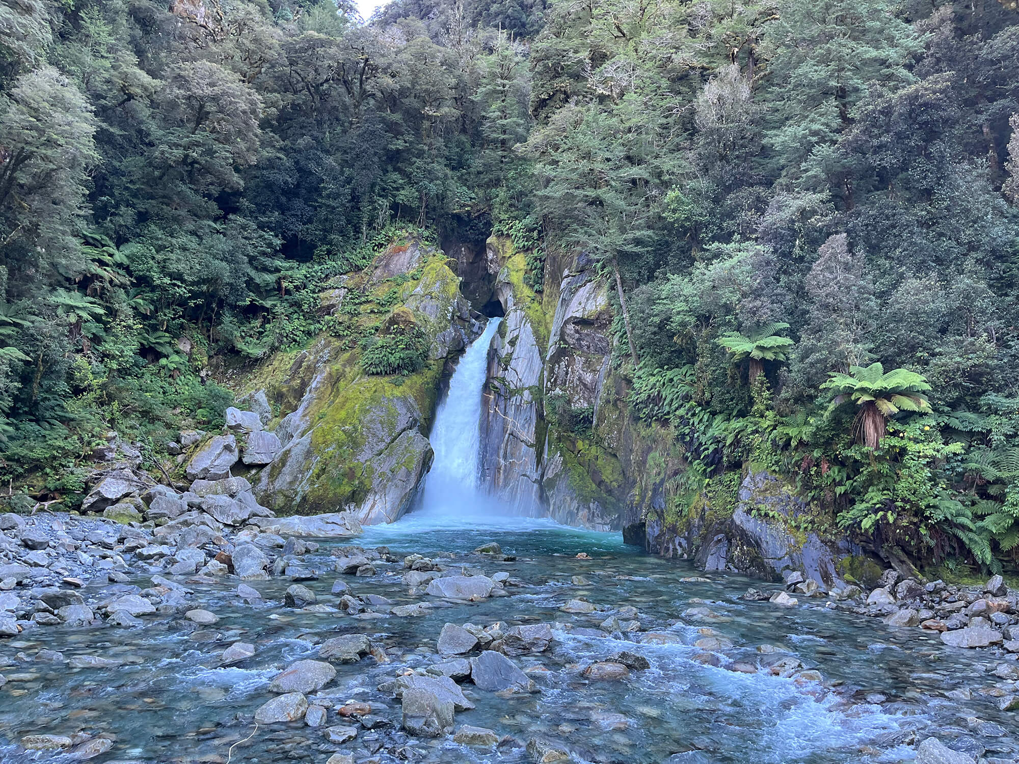 iPhone image by Sholto Blissett, New Zealand, 2025.