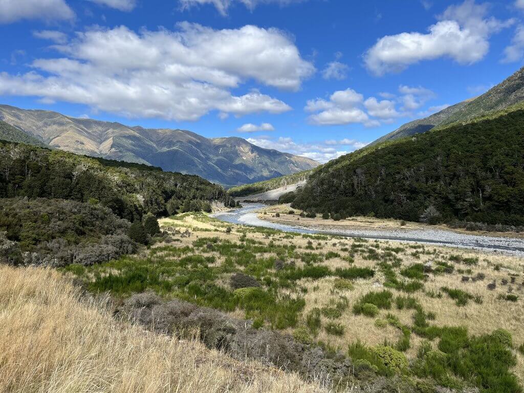 iPhone image by Sholto Blissett, New Zealand, 2025.