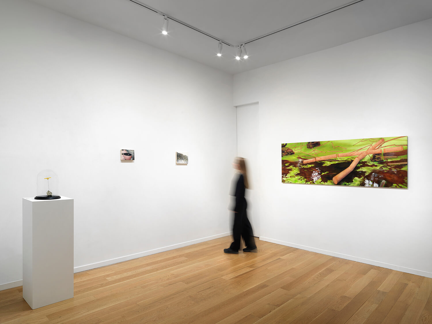 installation view of "Baoying Huang, Alexandria Mento, Nina Molloy, Cate Pasquarelli" (July 8-August 20, 2026) at Alexander Berggruen, NY. Photo: Dario Lasagni